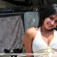 Haripriya New Photo Shoot - Pictures | Picture 115685